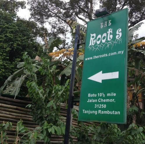 The Roots Eco Resort Tanjung Rambutan Exterior photo